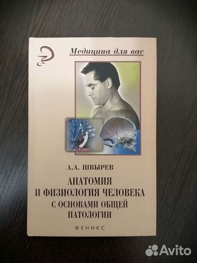 Анатомия и физиология человека