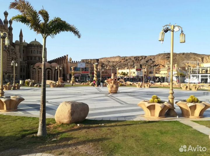 Тур в Sharm El-Sheikh 6 дн