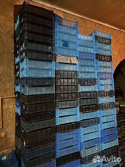 Ящики под шампиньоны/грибы