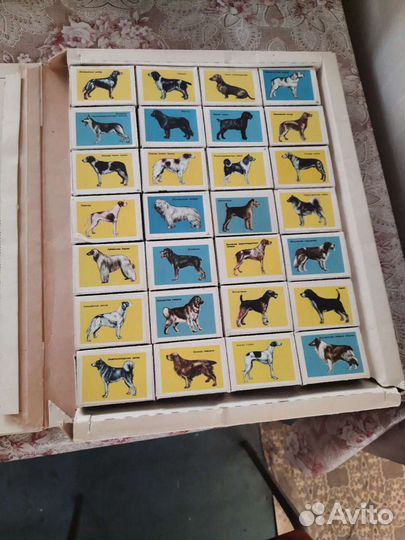 Спички СССР Андропов