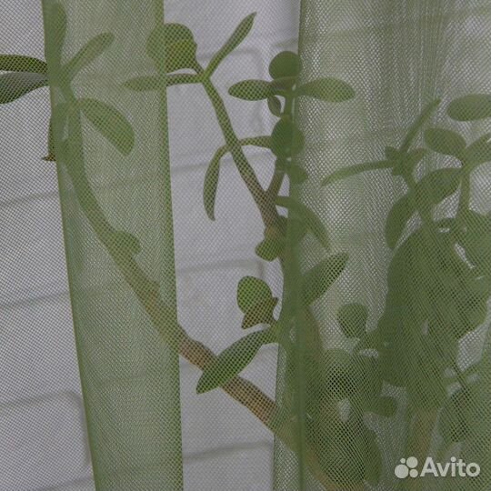 Тюль Ирис зелёный готовый на окна пошив