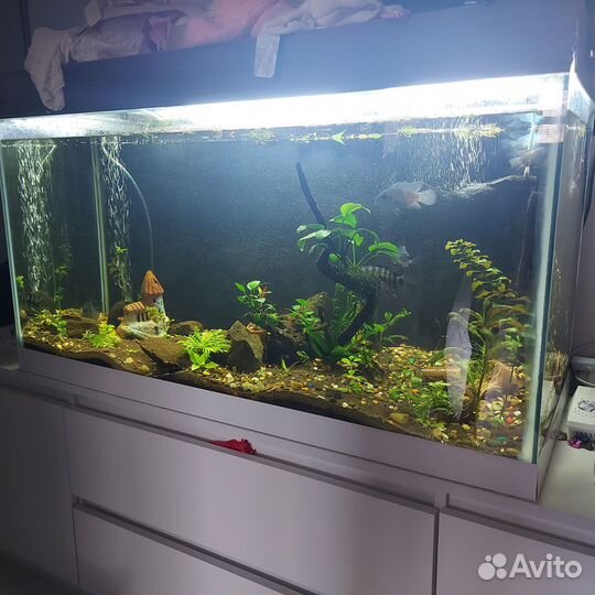 Аквариум с тумбой