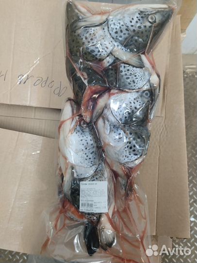 Головы лосося