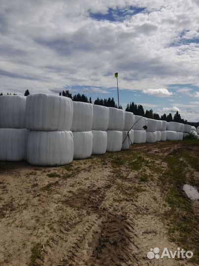 Продам сено в рулонах 450кг