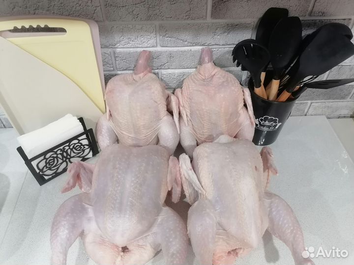 Курица домашняя