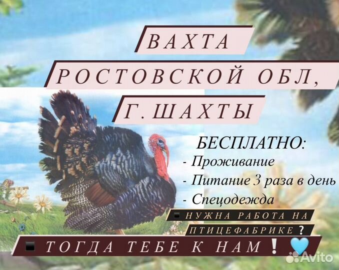 Фасовщик на птицефабрику/Вахта/Проживание питание