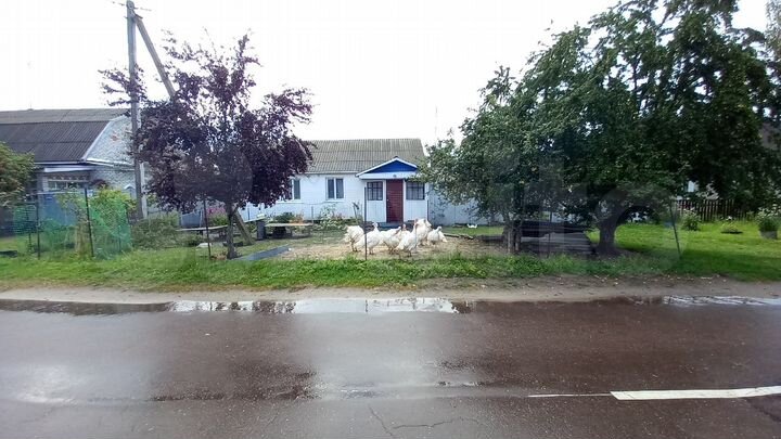 Дом 80,9 м² на участке 6 сот.
