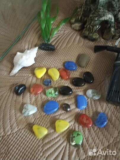 Аквариум в полном комплекте