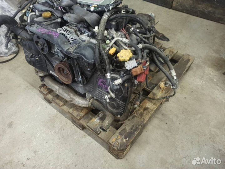 Двигатель Subaru Forester EJ205