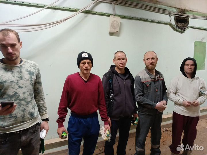 Грузчики разнорабочие смена 8 часов