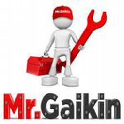 Mr.Gaikin