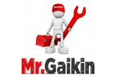 Mr.Gaikin
