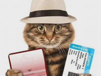 Ветеринарный паспорт, титры, справка Ф1