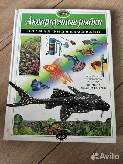Книга