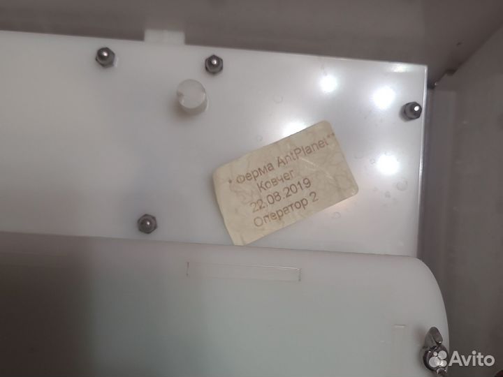 Формикарий для муравьев