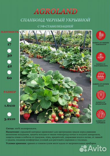 Укрывной материал спанбонд