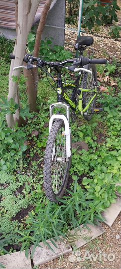 Велосипед bh24133 top gear 4Rest