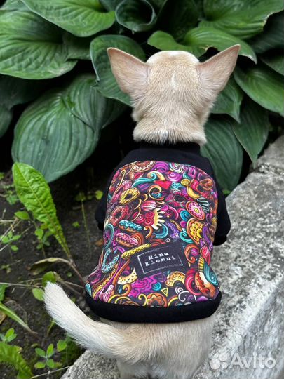 Футболка для собак