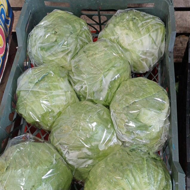 Салат айсберг и романо (капуста)