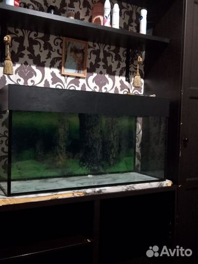 Аквариум