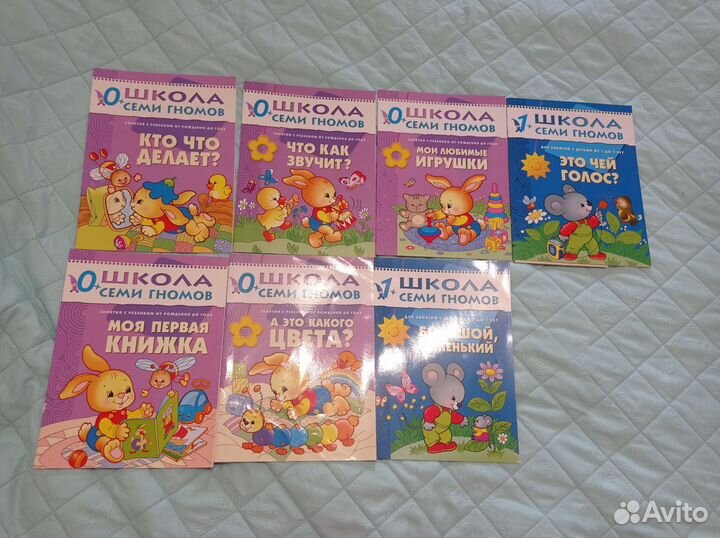 Детские развивающие пособия Земцова, Школа гномов