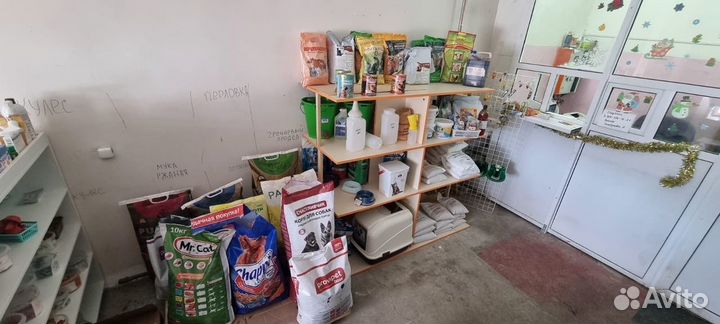 Семена горчицы 1 сорт