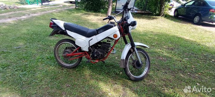 Зид пилот 50