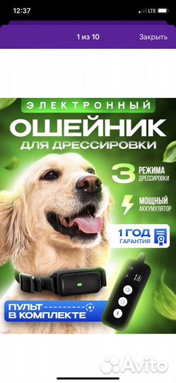 Ошейник для собак