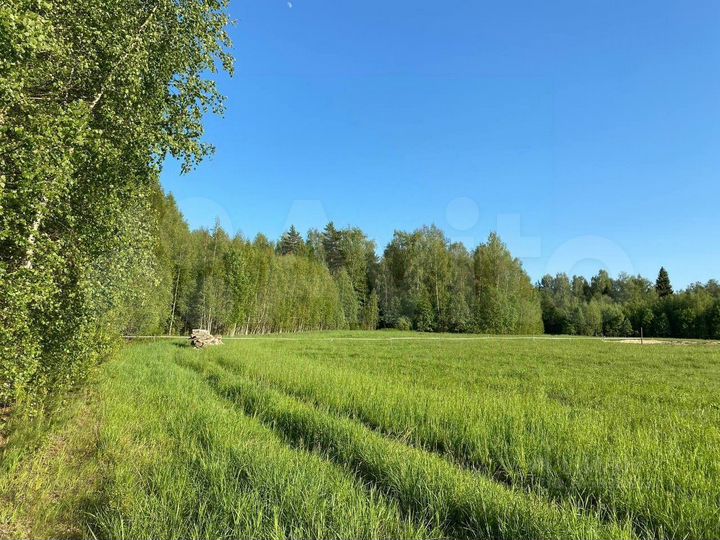 Участок 16,9 сот. (ИЖС)