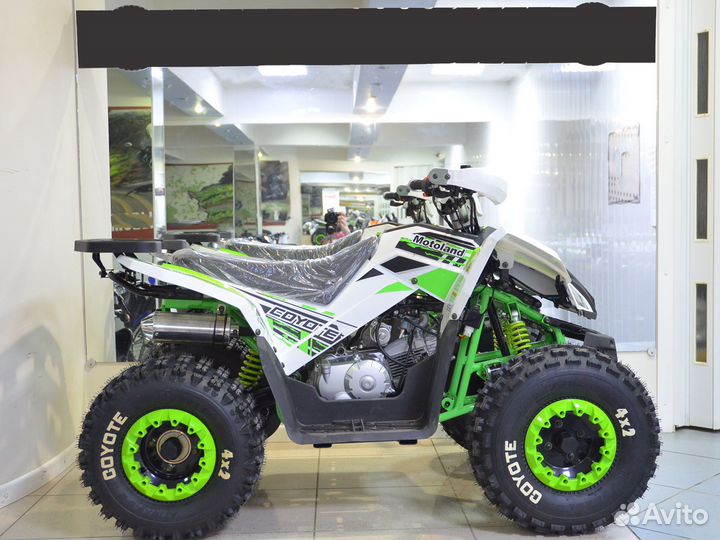 Квадроцикл Motoland Coyote 125 зеленый
