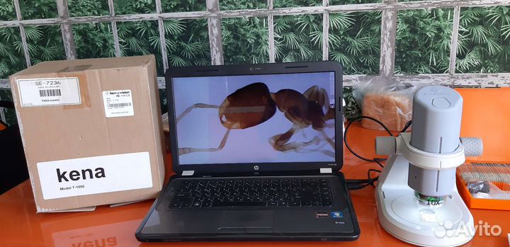 Микроскоп kena