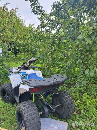 Квадроцикл Shark 125
