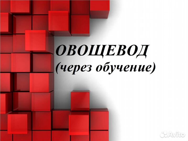 Овощевод (через обучение)