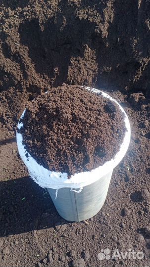 Торф в мешках