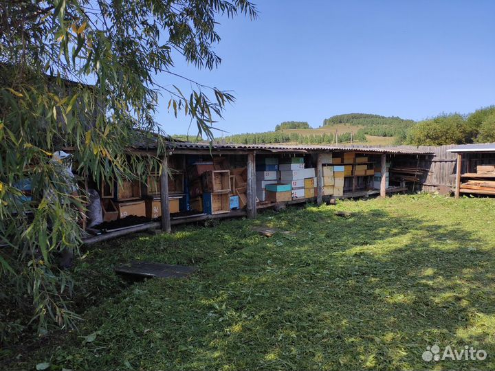 Пасека стационарная