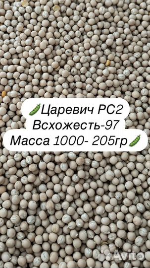 Семена гороха Царевич рс2