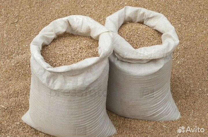 Овес ячмень Пшеница