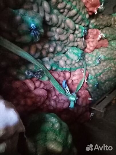 Продам картофель опт розница