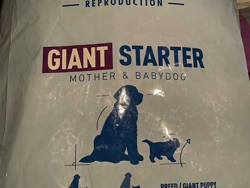 Royal Canin Giant Starter Mother&Babydog