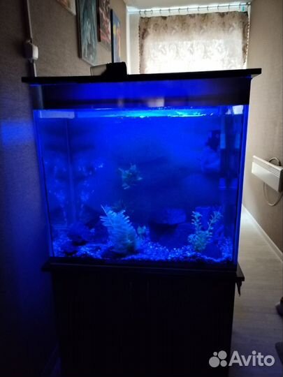 Аквариум
