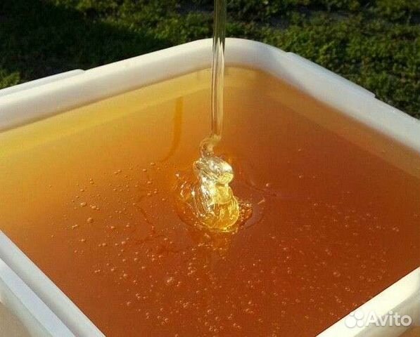 Майский мёд 2024г