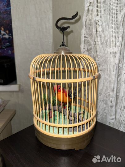 Попугай игрушка