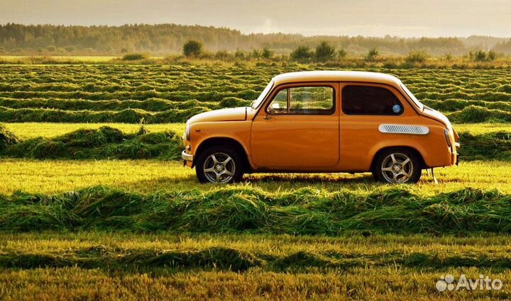 Двигатель и запчасти к заз (30 л.с.)