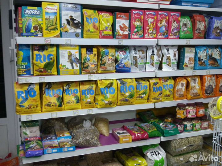 Волнистые попугаи и клетки