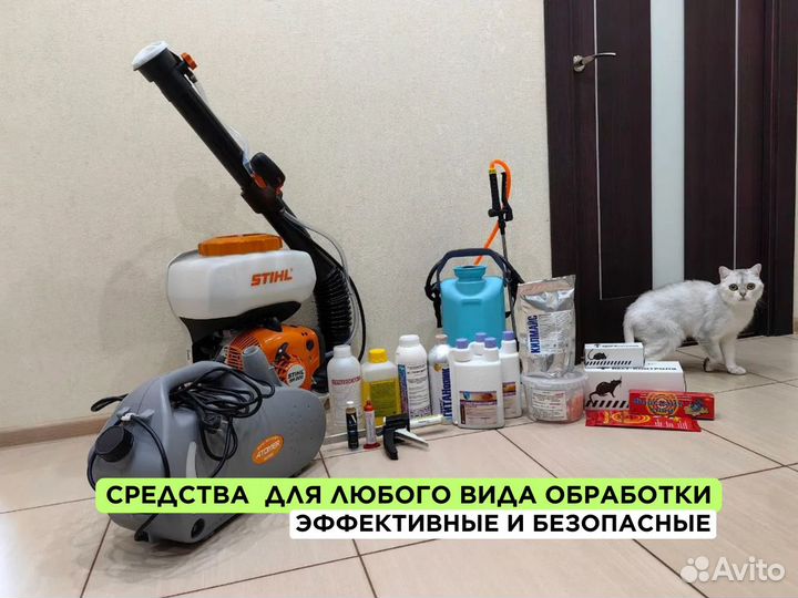 Дезинфекция Уничтожение клопов, тараканов