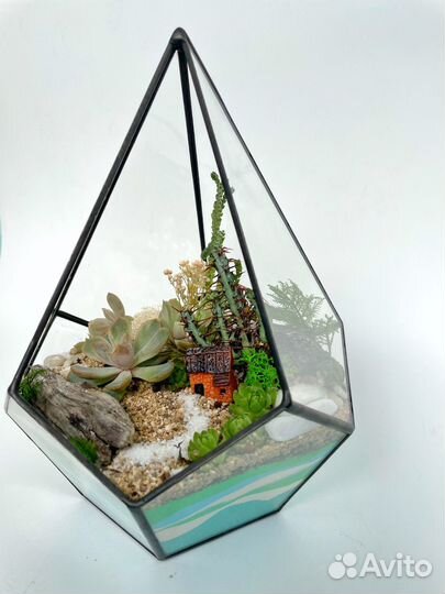 Флорариумы с суккулентами