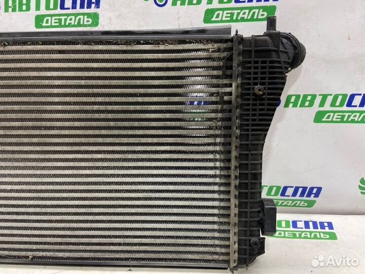 Интеркулер Skoda Octavia A5 BKC 2006