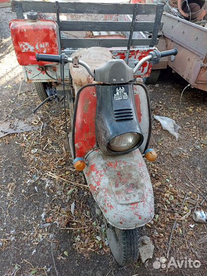 Моторолер муровей