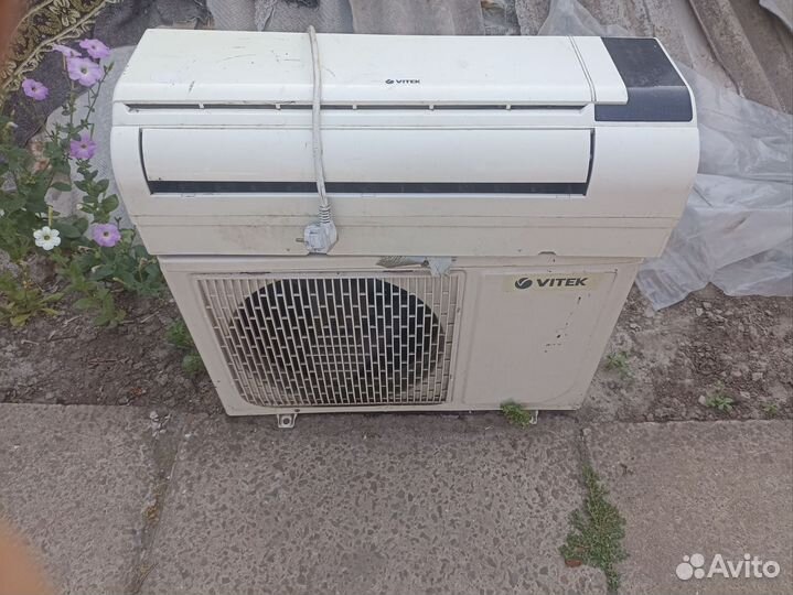 Vitek