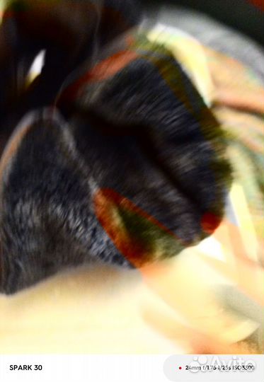 Сапоги женские замшевые 39